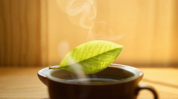 Top avantages du matcha: Pourquoi l'ajouter à votre régime